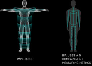Evolt Body Scanner